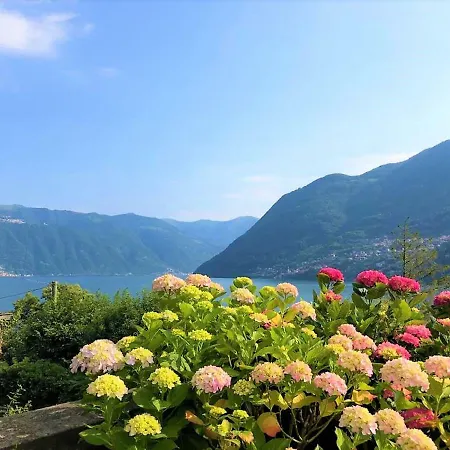 Ortensia Вилла Лалльо