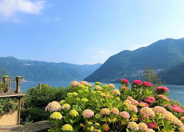 Ortensia Villa Laglio